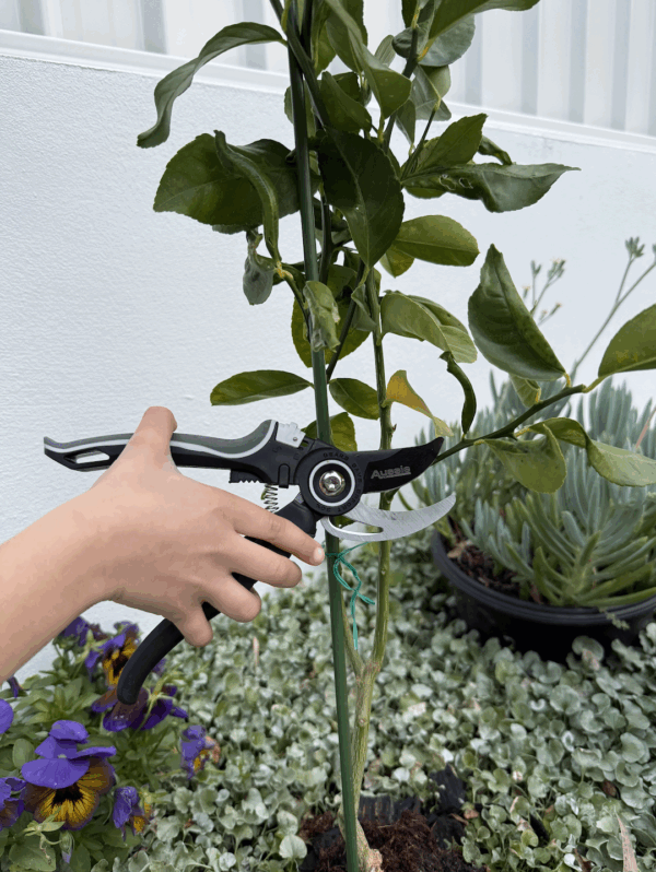 Advanced Geared Bypass Pruner - Image 2